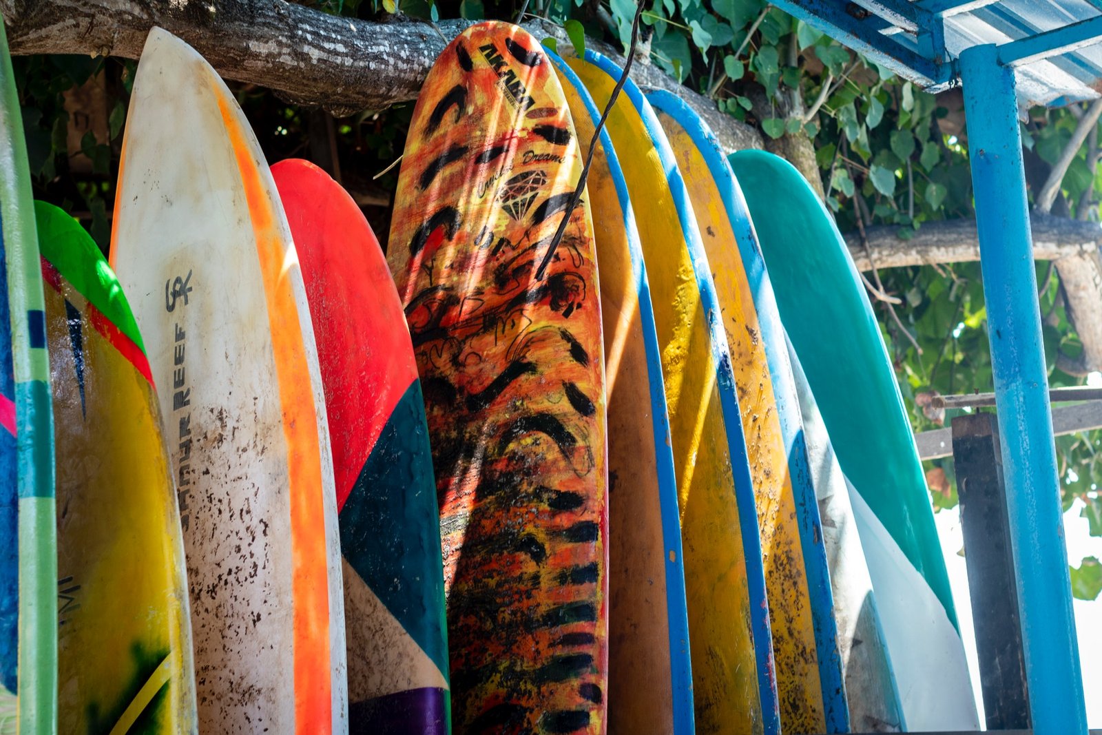 Surfboard Rental